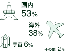 国内53%